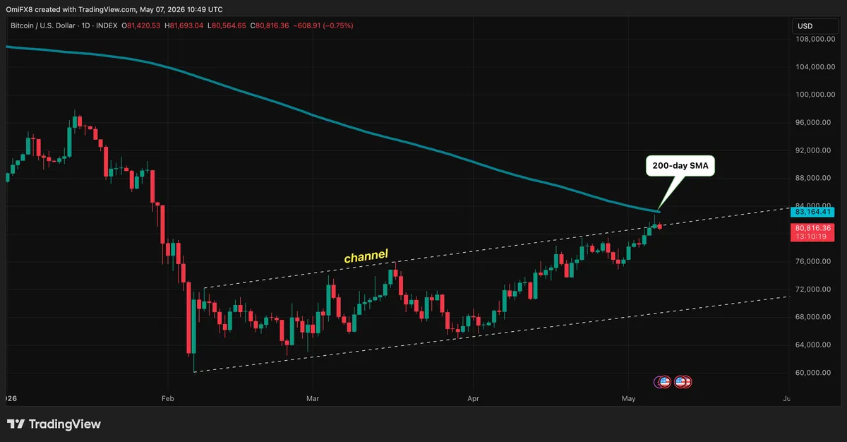Bitcoin's daily chart in candlestick format. (TradingView)