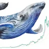 仮想通貨別「大口投資家割合と推移」ビットコイン、ETH、XRPほか｜Coin Metrics調査