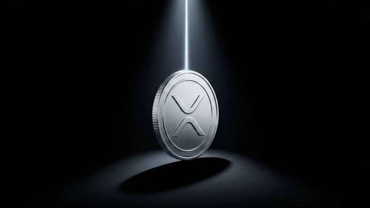 Binance rezerv raporu USDC ve XRP bakiyeleri