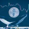 仮想通貨BTCバブルのクジラ説を否定 ロングハッシュが独自分析