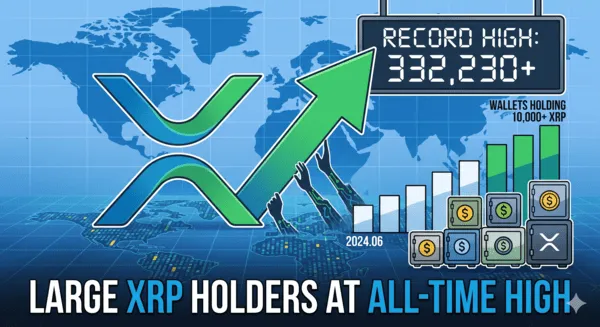 XRP 고래 지갑 누적 추이