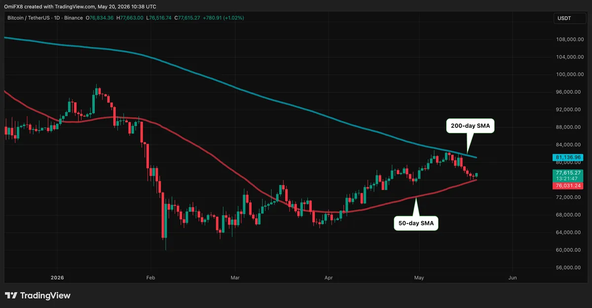 Bitcoin price rebounds above $77,000