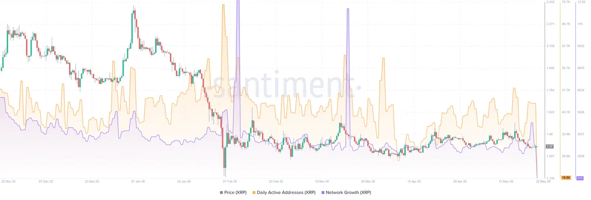 XRP fon akışları ve cüzdan oluşumu