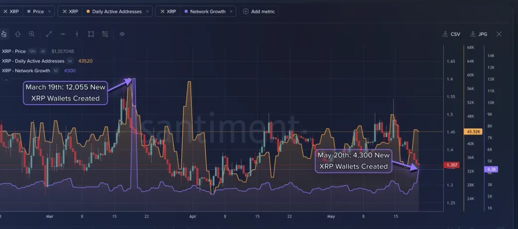 XRP 레저 신규 지갑 및 네트워크 성장
