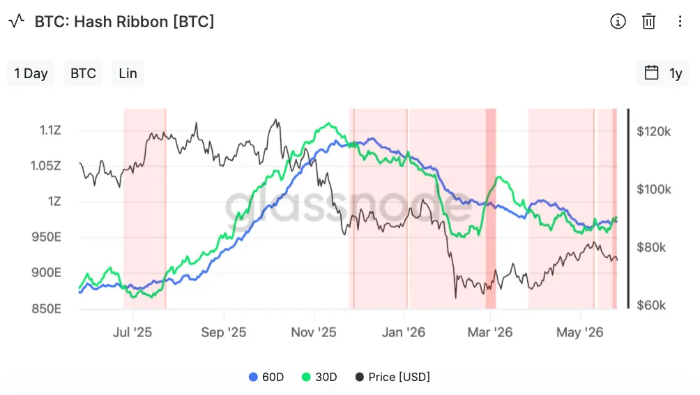 BTC hash ribbon chart showing 60D (blue) and 30D (green) moving averages with price (black) from Jul 2025 to May 2026; includes pink shaded zones indicating trends/entries, with price axis on the right.