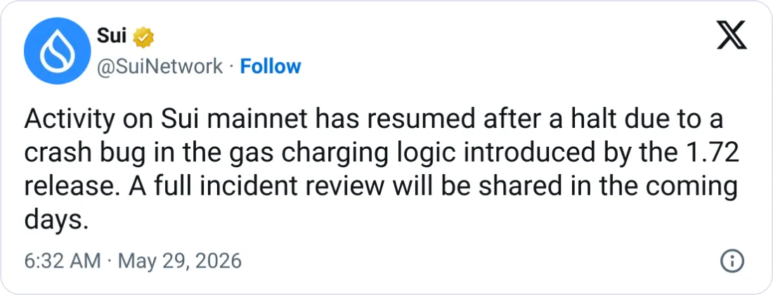 Sui Network mainnet outage recovery