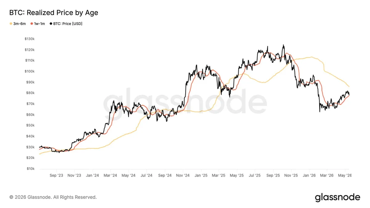 Bitcoin realized price by age cohort