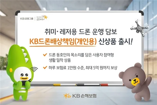 KB์ํด๋ณดํ ๊ฐ์ธ์ฉ ๋๋ก ๋ฐฐ์์ฑ
์๋ณดํ