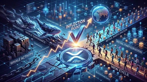 XRP 고래 개인 스프레드 88.3%