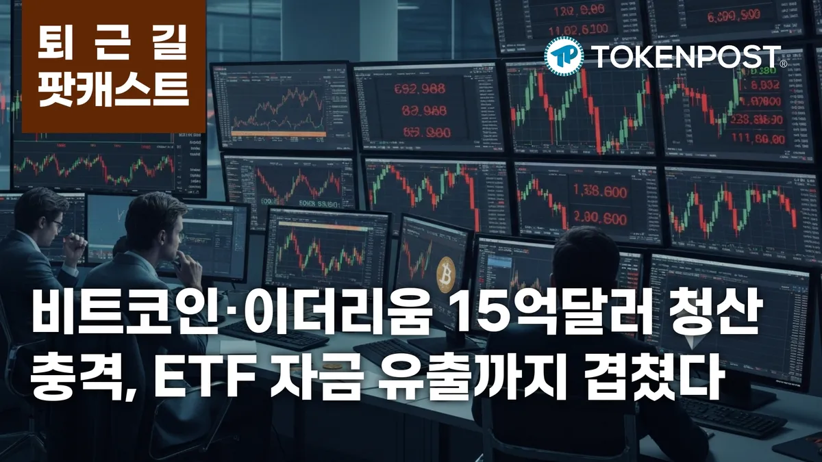 비트코인 청산 현황