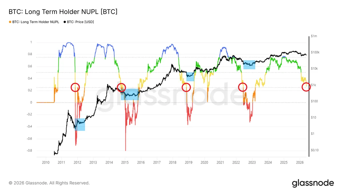 Long term holder NUPL