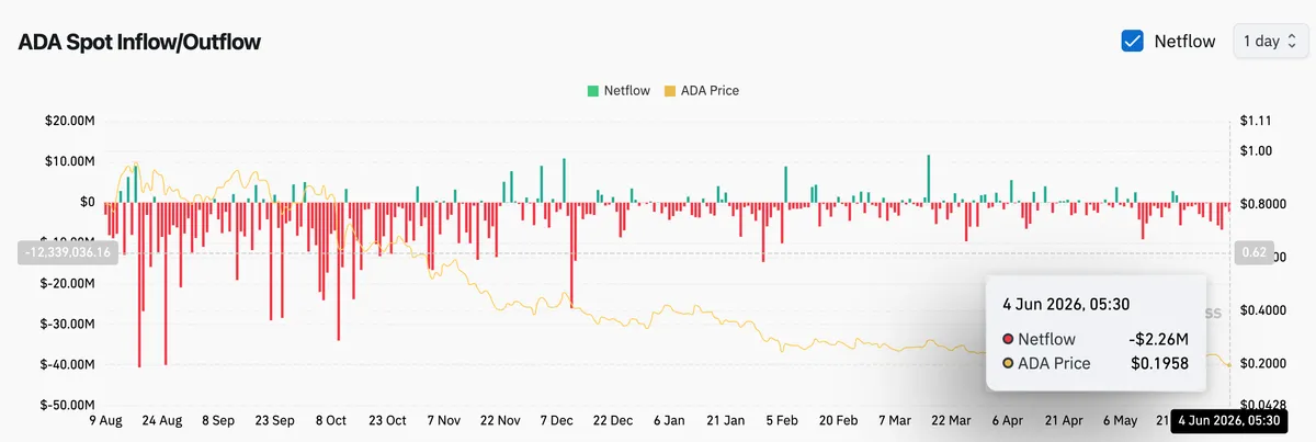ADA Spot Netflow
