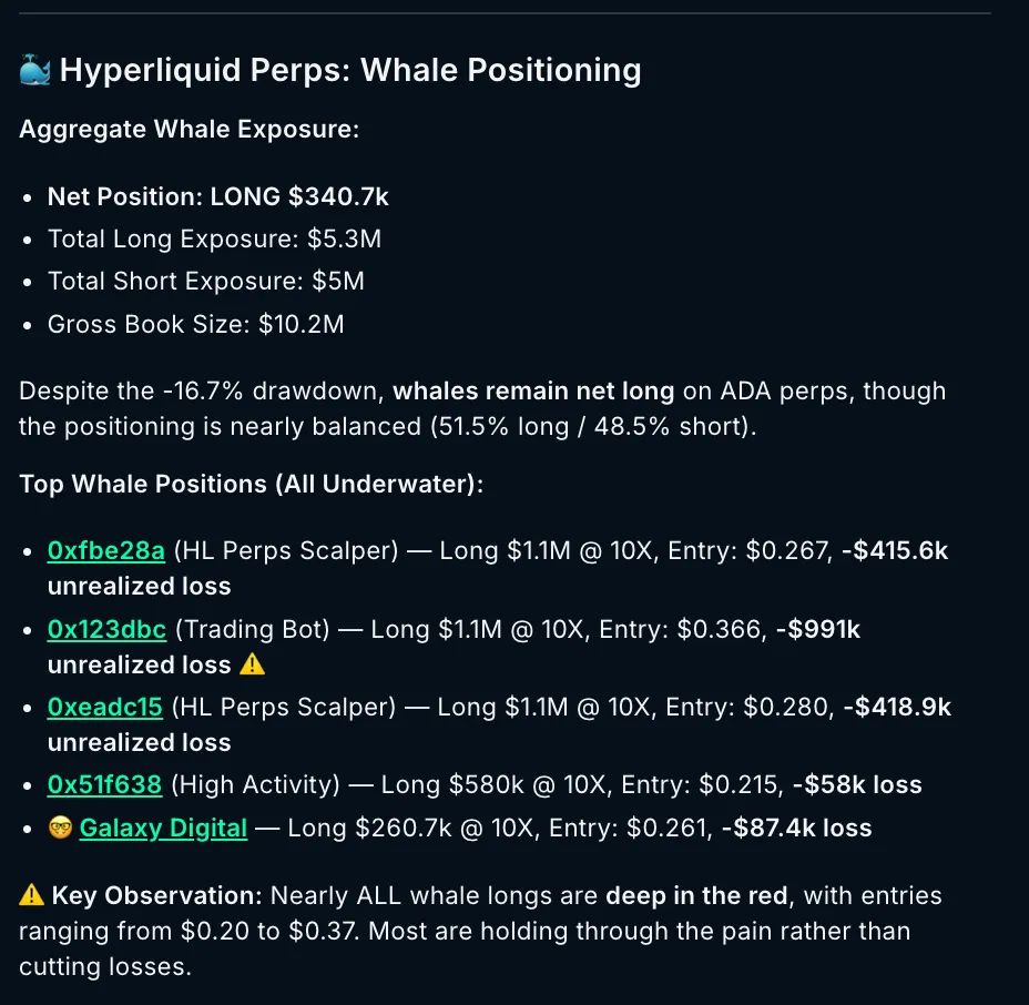 Whale Positioning