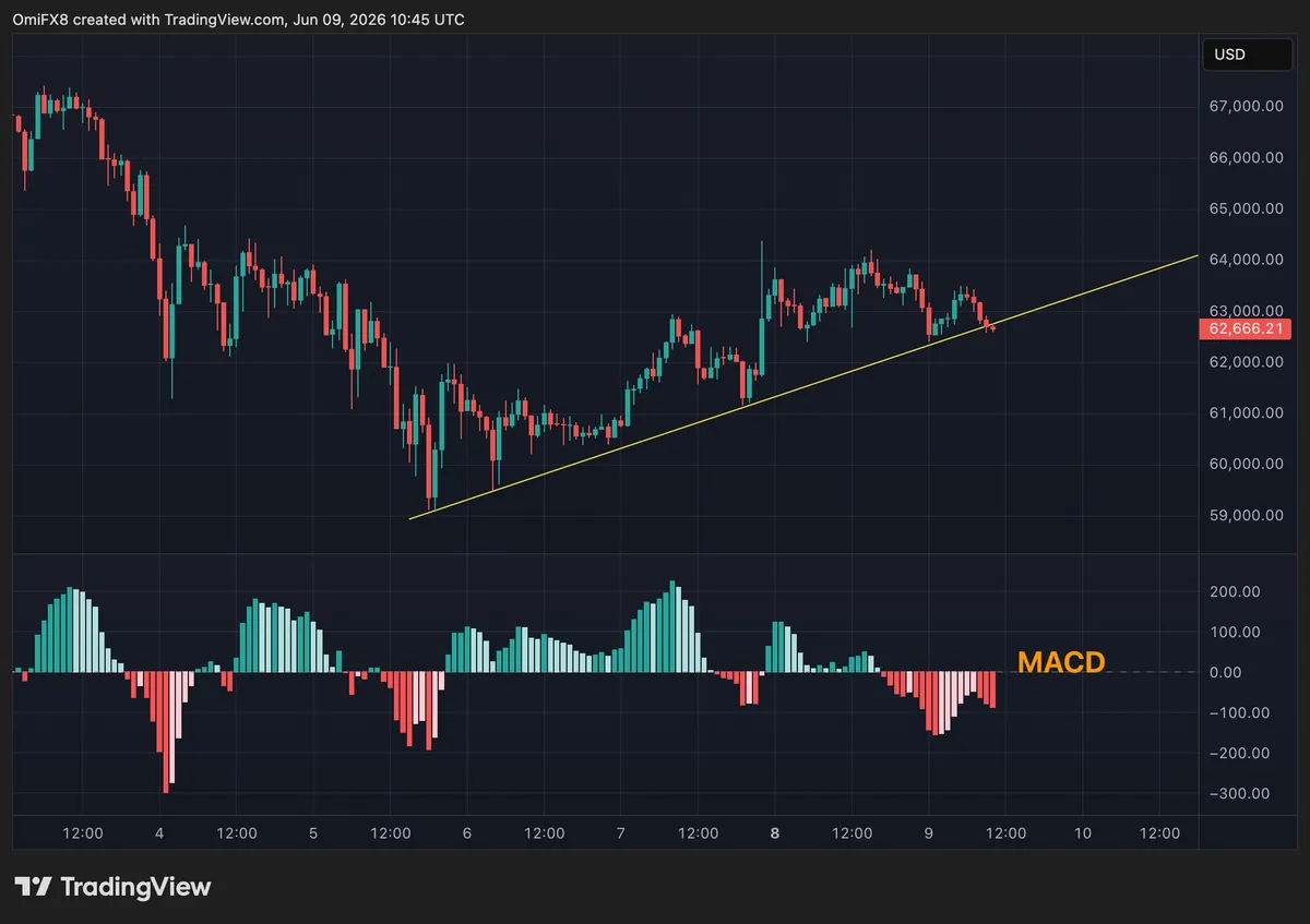 BTC's price chart with the MACD histogram. (TradingView)